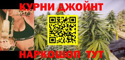 гидропоника Дубна
