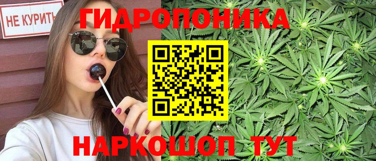 Шишки марихуана индика  Шишки марихуана тримм  Шишки марихуана план  Канабис марихуана  Вход с VPN  Мирный 